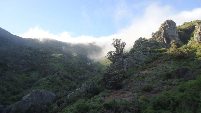 Punta del Hidalgo to Santa Cruz-south side