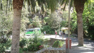 chamorga faro de anaga- bus station