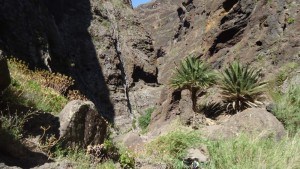 Masca valley Tenerife - still long way to go