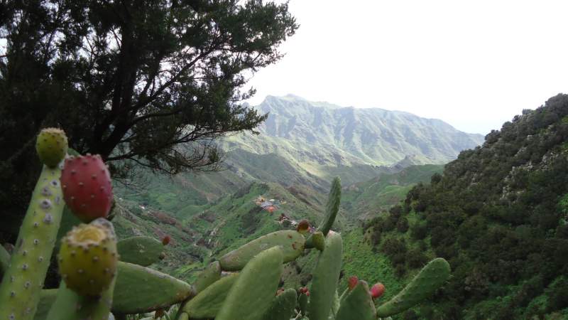 Anaga Mountains Tenerife - valleseco