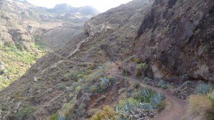 chamorga faro de anaga-path to chamorga