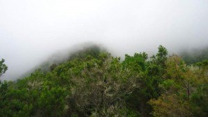 Entering Pijaral and clouds.