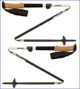 Black Diamond alpine FLZ trekking poles