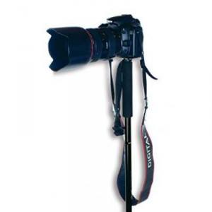 A camera mounted on a trekking pole.