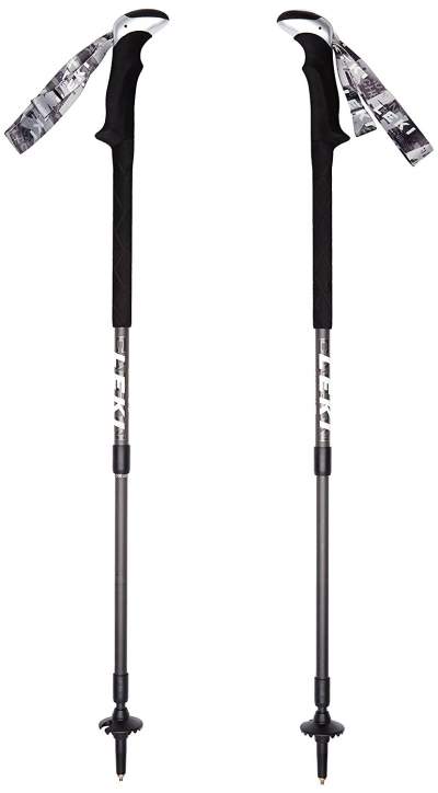 LEKI Carbon Lite trekking poles.