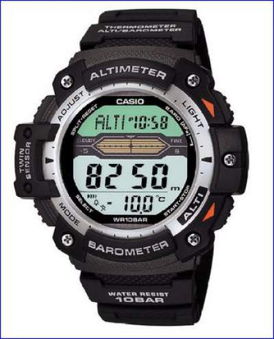 Casio Thermometer Watch