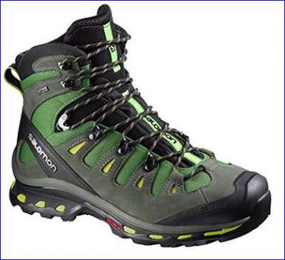 Salomon Quest 4D 2 GTX hiking boots for men