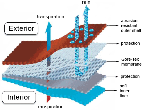 Structure of a Gore Tex laminate.