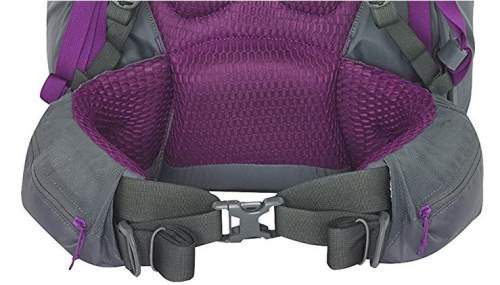 The reinforced hip belt with 4 attachment points for the front straps, and the massive lumbar padding behind.