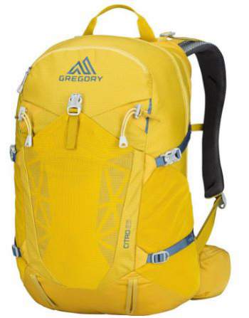 Gregory Mountain Products Men's CITRO 25 3D-Hydration Backpack.