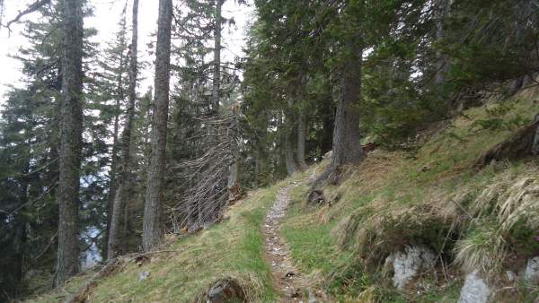 From the route to Zavetište pod Špičkom hut.