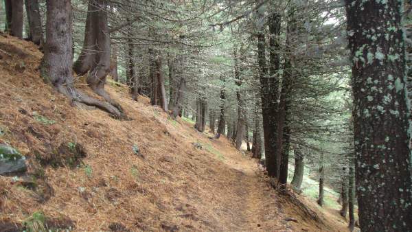 The beginning of the route above the Forni parking.