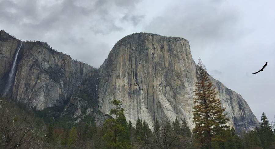 Boot camp for el capitan