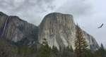 Alex Honnold the Only Free Solo Climber in the World