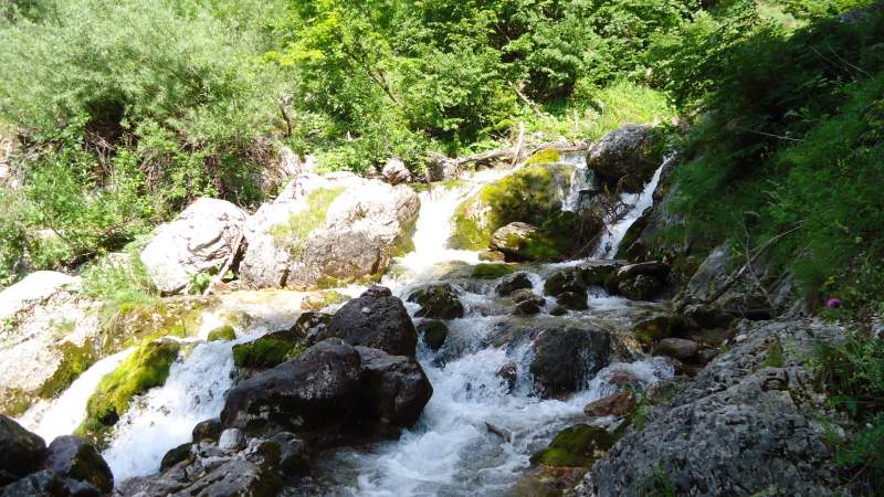 So this is Socha river just a few meters from its source.