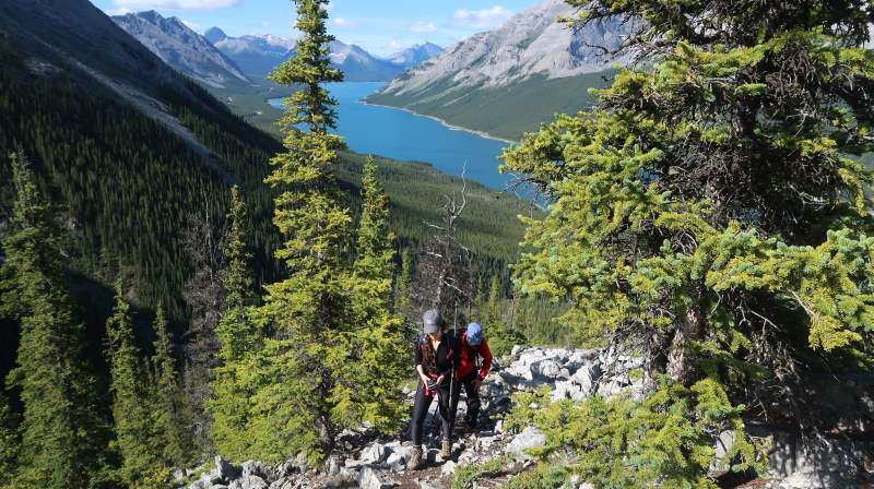 Jelena Vranjes and Tibor Pastor making their way through the second treeline.