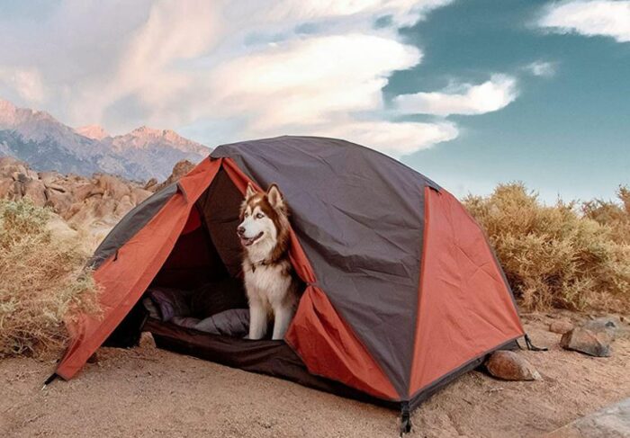 Alps Mountaineering Chaos 2 Tent.