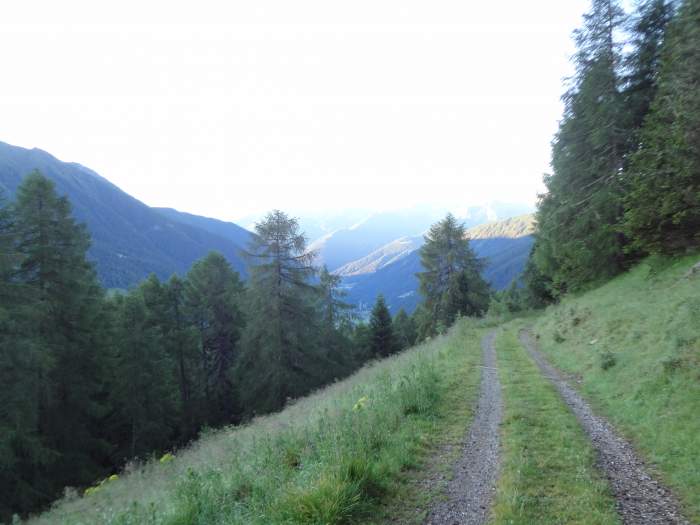 Pleasant walk through the forest in the lower part of the route.