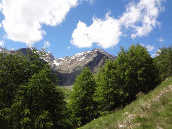 View towards the hut.