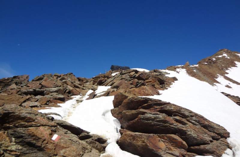 Monte Vioz sumit on the right, and the hut.