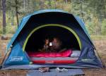 Coleman 4 Person Dome Tents.
