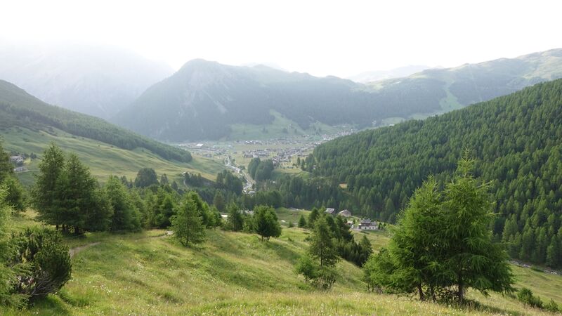 Above tree line and view towards Livigno.