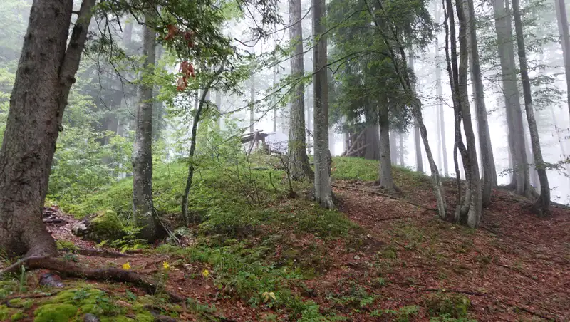 Bivak III in the mist.