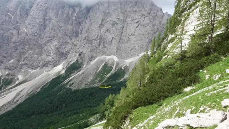 The bivouac is hidden in the forest, the arrow shows its position.