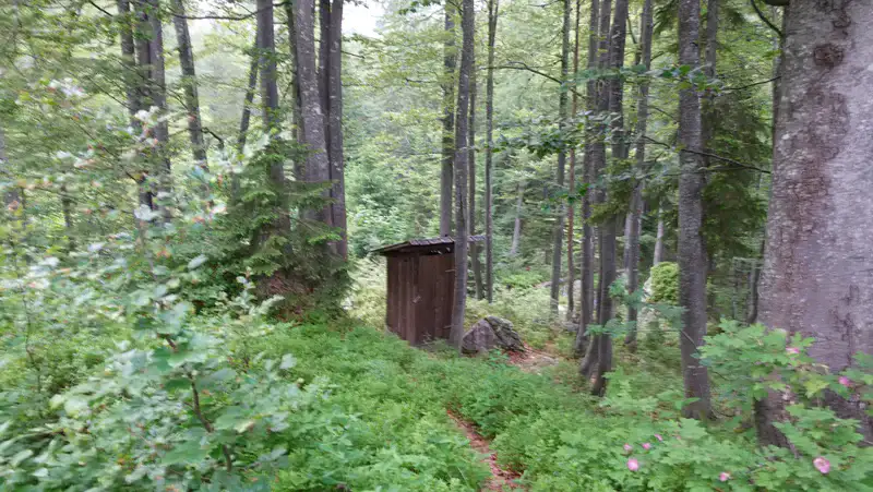 Outhouse.