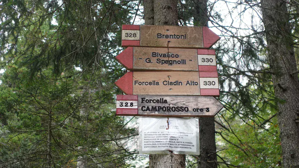 A fork point on the route.