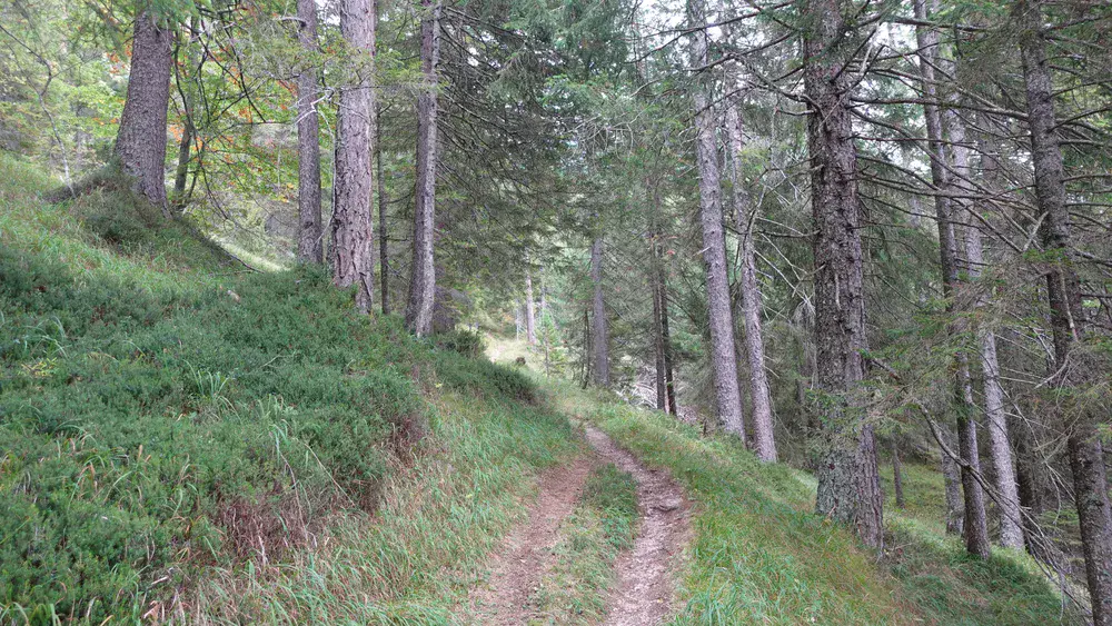 Pleasant walk-up route.